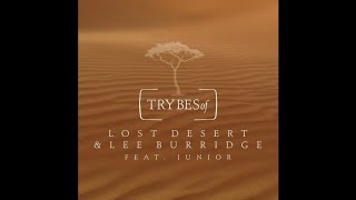 Lost Desert amp Lee Burridge  Vutuka feat Junior [upl. by Aleyam]