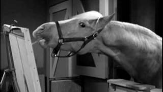 Mister Ed Seasons 1 amp 2  DVD Trailer [upl. by Garett315]