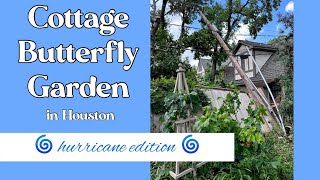 July 16 2024 Cottage Butterfly Garden tour POST HURRICANE in Houston TX zone 9 [upl. by Nahtahoj411]