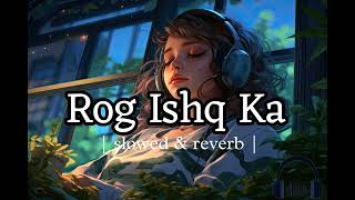 Rog ishq ka yaar kusa  Slowed  Reverb  Raj Mawar Ishq haryanvi song  MP3 [upl. by Quintessa357]