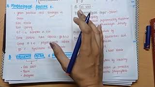 Streptococcus Pyogenes  Morphology  Virulence factors  culture amp lab diagnosis  MICROBIOLOGY [upl. by Sanfourd]