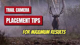 Top Trail Camera Placement TIPS for MAXIMUM Results [upl. by Lane]