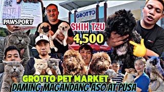 SHIH TZU 4500 LANG AT PUSANG MAY PASSPORT NA SA GROTTO PET MARKET [upl. by Esinert]