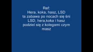 Hera koka hasz LSD  Karolina Czarnecka HIT quotKaraokequot quottekstquotquotlyricsquot [upl. by Saref608]