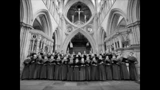 Anglican Chant Psalm 13 Usque quo Domine — Choir of Wells Cathedral [upl. by Calbert]