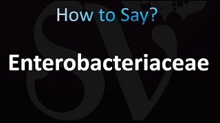 How to Pronounce Enterobacteriaceae correctly [upl. by Ker]