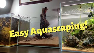 Easy Aquascape Keeping It Simple With Driftwood [upl. by Anairb]