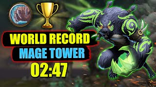 Guardian Druid  Mage Tower Challenge Completed in 2 Minutes 47 Seconds World Record Dragonflight [upl. by Yessac]