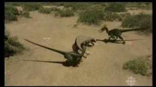 FRENCH The truth about killer dinosaurs VelociraptorBBC [upl. by Ellerad]