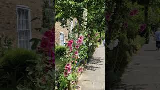 canonbury a area in Islington London [upl. by Smukler]