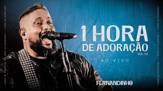 Fernandinho  1 Hora de Adoração Ao Vivo  Vol 03 [upl. by Howlond]