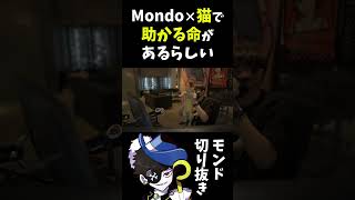 【助】Mondoと猫ちゃんの絡みが幸せすぎた【shorts】 [upl. by Notsua]