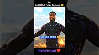 As You Can SeeI Am Not Dead 👑 Black Panther Edit  shorts blackpanther avengers marvel [upl. by Imoian929]