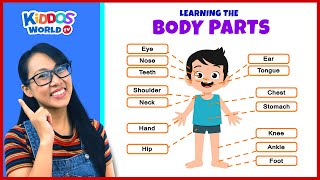 Learning the Parts of the Body for Children with Miss V [upl. by Candy793]