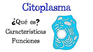 🌐 ¿Qué es el Citoplasma💥 Características Funciones Citosol Fácil y Rápido  BIOLOGÍA [upl. by Artenehs]