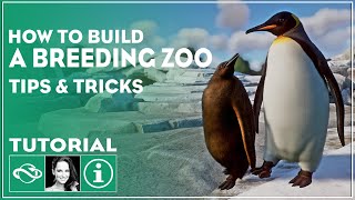 ▶ The Ultimate Guide to Starting a Breeding Zoo in Planet Zoo  Tutorial  Tips amp Tricks [upl. by Flower]