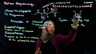 Protein Sequencing [upl. by Hanonew]