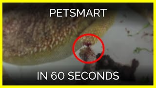 The Video PetSmart Doesnt Want You to See [upl. by Modestia205]