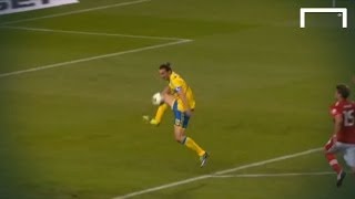 Zlatan Ibrahimović great goal  Sweden v Austria [upl. by Juni616]