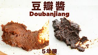 陳釀 5 年豆瓣醬有多香🫘久等了終於開封了 The 5year aged Doubanjiang is so fragrant [upl. by Dora345]