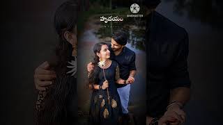 Bangaru Kalla BuchammoSong WhatsApp statusTelugu Movie songs [upl. by Wiltsey]