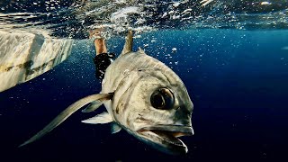 Les Carangues Sont Dattaque Sous Tata Yoyo  Îles des Saintes Jigging [upl. by Redep]