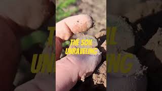 The beauty of soil unraveling around of ancient copper coin metaldetecting history ground [upl. by Rinna270]