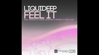 LIQUIDEEP quotFeel It Andre Lodemann Remixquot Deeper Shades Recordings DEEP HOUSE REMIX [upl. by Schell]