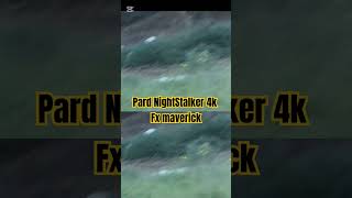 Fx Maverick amp Pard NightStalker 4k shooting rabbits pest control hunting fxairguns pestcontrol [upl. by Baalman915]