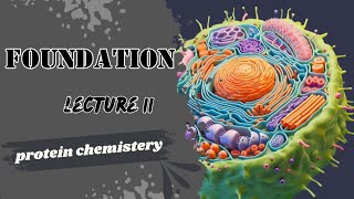 Protein Lecture 4 classification of proteins Biochemistry Dr Adham saleh [upl. by Pudens206]