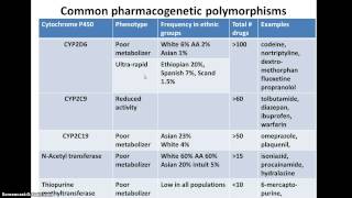 genetic polymorphisms and drug metabolism [upl. by Corley]