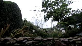 Walk Around Kingswear Village in Devon 2 [upl. by Orgell]