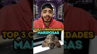 MARIPOSAS  TOP 3 CURIOSIDADES [upl. by Nary38]