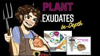 Plant Exudates InDepth with Matt Powers  a Regenerative Soil excerpt [upl. by Ecydnarb]