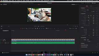 Zoomer dans une vidéo fixe avec Davinci Resolve et le Zoom Dynamique [upl. by Ymmik539]