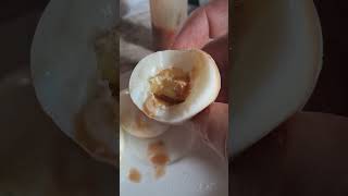 Boiled Eggs w Malagueta Hot Sauce [upl. by Tiana]