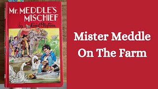 Mister Meddle On The Farm  Enid Blyton  Read Aloud [upl. by Secnirp]