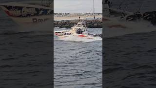 Fish Circus Is Quite The Powerhouse  Manasquan Inlet [upl. by Lilah]