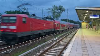 Sichtungen aus Elstal Bergfelde und Glienicke Nordbahn in der Nähe von Berlin [upl. by Husain753]