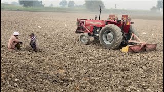 Kasan apni new fesal ke tyari ma masroof pakistanvillagevlog villagelifepanjab panjabvillage [upl. by Vernon896]