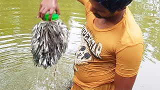 Bottle Fish Trap  Amazing Boy Catch Fish With Plastic Bottle Fish Trap Part2 [upl. by Neysa]