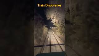 Scary Horror Train horrorstories tunnel shorts viralvideo horrorstory horrorshorts [upl. by Nroht451]