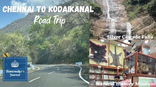 Chennai to Kodaikanal Road Travel Vlog in Tamil  Kodai Trip Vlog  1 [upl. by Airamesor]