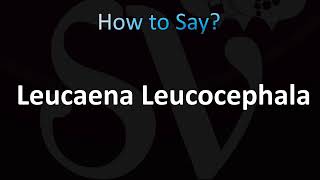 How to Pronounce Leucaena Leucocephala CORRECTLY [upl. by Adnilim160]