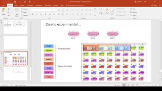 Análisis de datos de RTqPCR Video 14  Exportacion y calculos con LinReg PCR [upl. by Eintihw377]