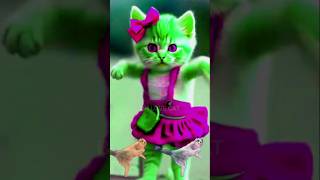 Pate cat dance😁🤓cute funny short [upl. by Gerry]