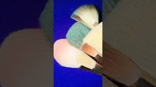 makeup brush set shorts brush brushset shinytas [upl. by Nit]