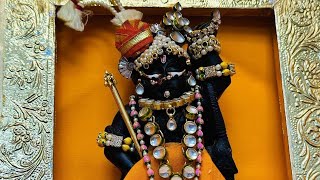 Kunj ko nazar na lagepriyankapanditofficial6820 radheradhe harekrishna laddugopal radhe [upl. by Linders]