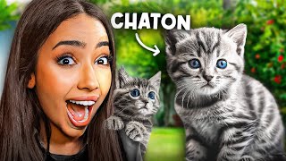 JAI ADOPTÉ UN CHATON  ouii vraiment 🥺 [upl. by Bolger781]