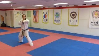 Taekwondo Forms Koryo Poomsae  1st Degree Black Belt Form [upl. by Aruat980]